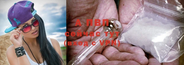прущие крисы Арсеньев