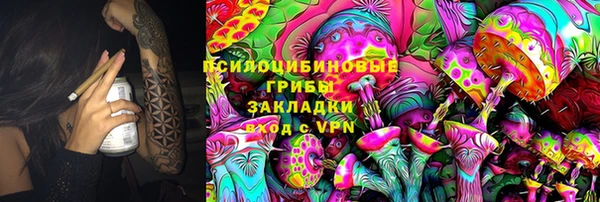 Альфа ПВП Аркадак